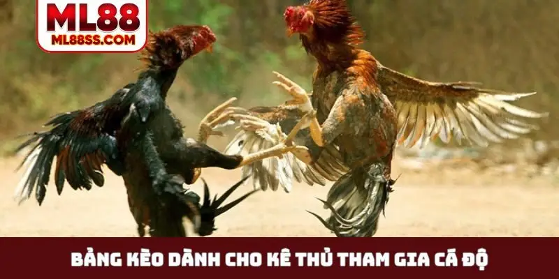 Bảng kèo dành cho kê thủ tham gia cá độ
