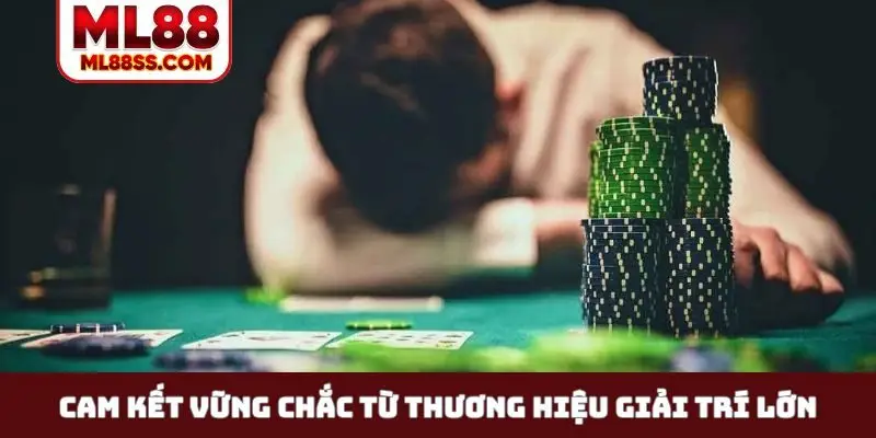 Cam kết vững chắc từ thương hiệu giải trí lớn