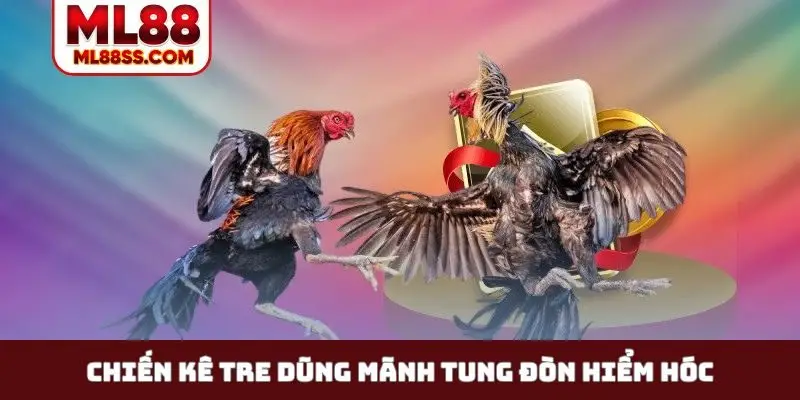 Chiến kê tre dũng mãnh tung đòn hiểm hóc