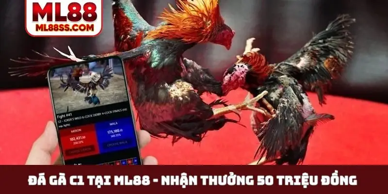 Đá gà C1 tại ML88