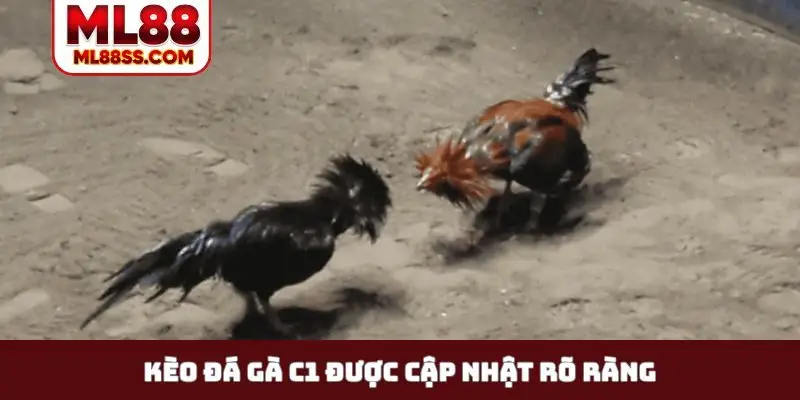 Kèo đá gà C1 được cập nhật rõ ràng