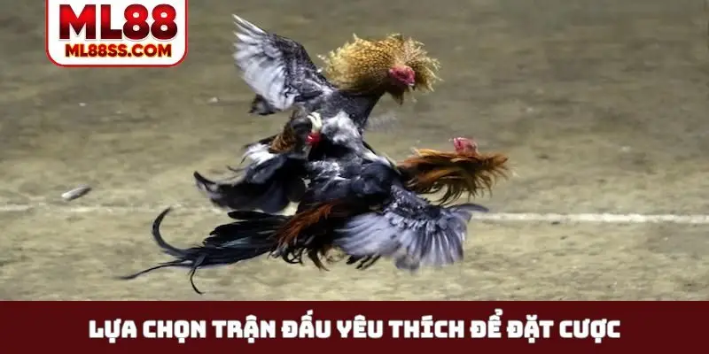 Lựa chọn trận đấu yêu thích để đặt cược
