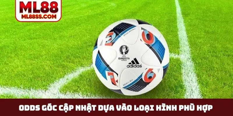 Odds góc cập nhật dựa vào loại hình phù hợp