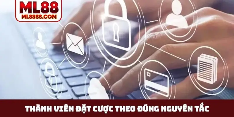 Thành viên đặt cược theo đúng nguyên tắc