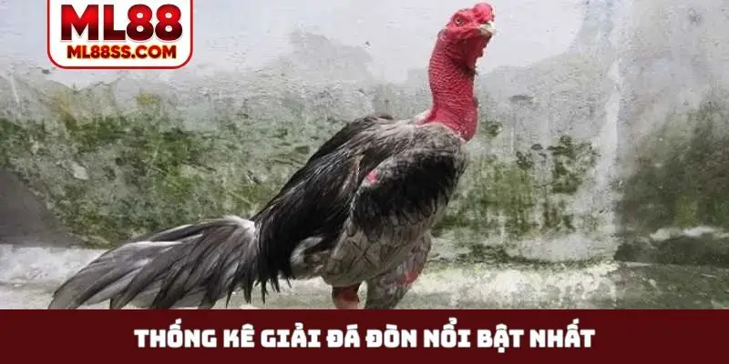 Thống kê giải đá đòn nổi bật nhất